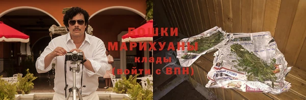 молекула духа Арсеньев