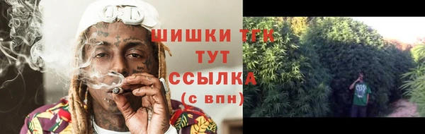 мдпв Струнино