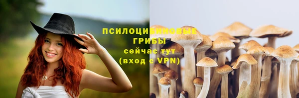 молекула духа Арсеньев