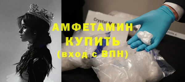 молекула духа Арсеньев