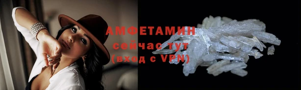 молекула духа Арсеньев