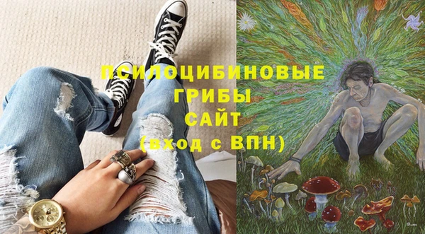 стаф Строитель