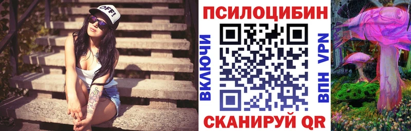 Купить где Новоалтайск Галлюциногенные грибы Magic Shrooms